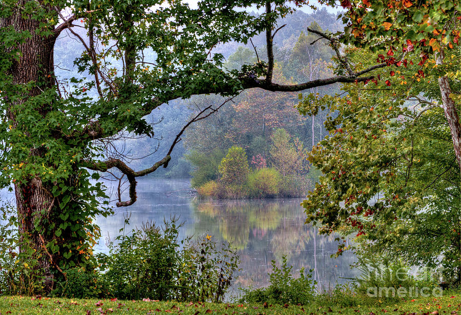 Autumn Dream III Photograph by Douglas Stucky