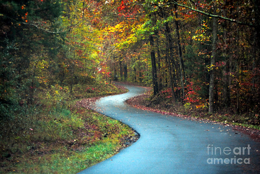 Fall Photograph - Autumn Dream by Rodger Painter