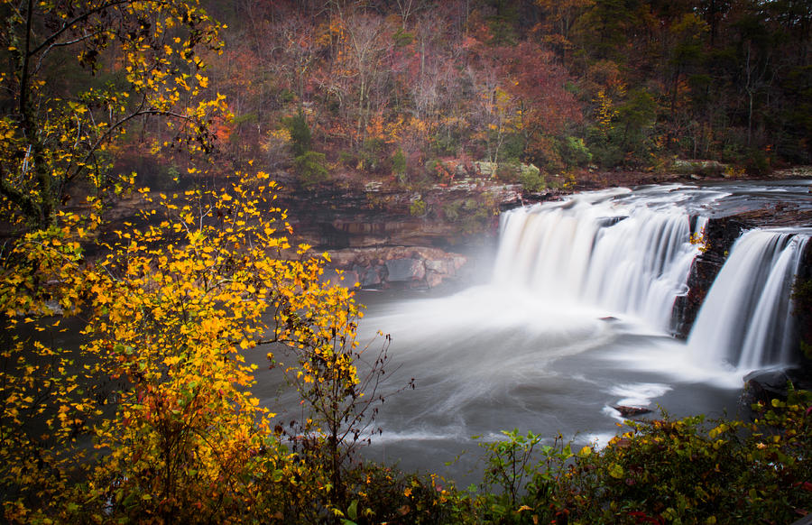 Autumn Dreams by Little River Falls Photograph by Parker Cunningham