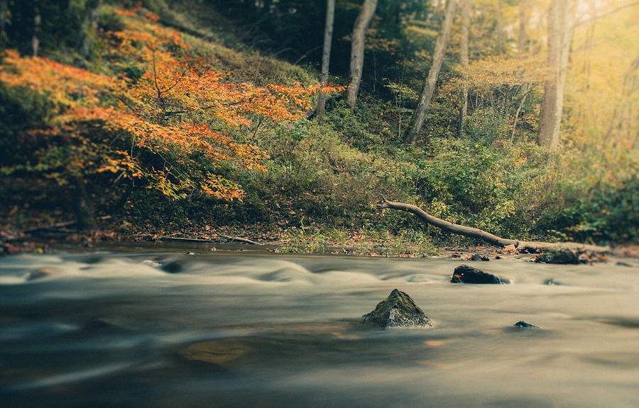 Autumn Dreamscape Photograph by Shane Holsclaw