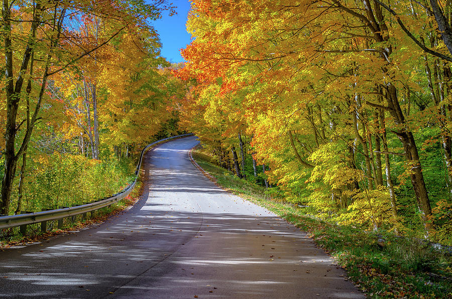 Autumn Drive  Photograph by Gary McCormick