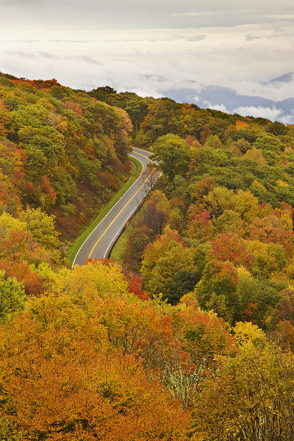 Autumn Drive Photograph by Harold Stinnette