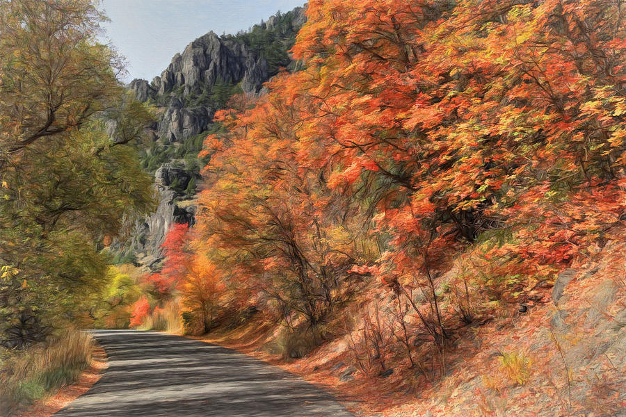 Autumn Drive In Logan Canyon Photograph by Donna Kennedy