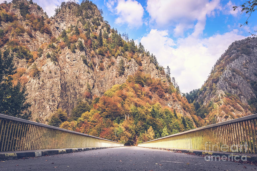 Autumn drive in the mountains Photograph by Claudia M Photography