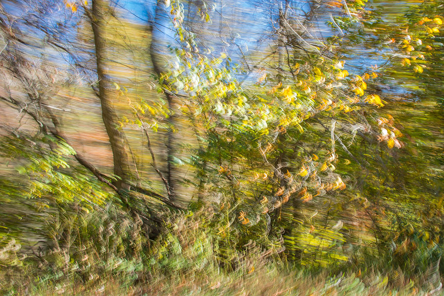 Autumn Drive in Virginia by Cyndi Goetcheus Sarfan Autumn Drive in Virginia by Cyndi Goetcheus Sarfan
