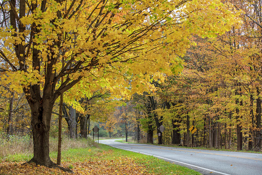 Autumn Drive  Photograph by John McGraw