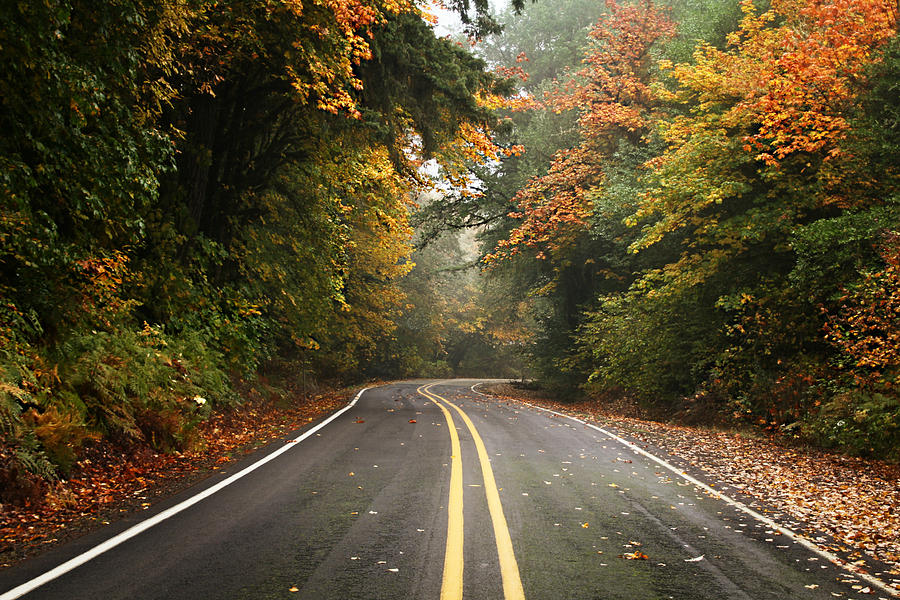 Autumn Drive Photograph by KATIE Vigil