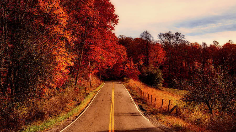 Autumn Drive Photograph by Mountain Dreams