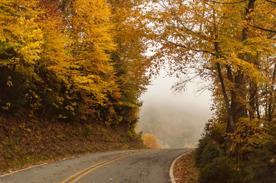 Autumn Drive North Carolina Photograph by Terry DeLuco