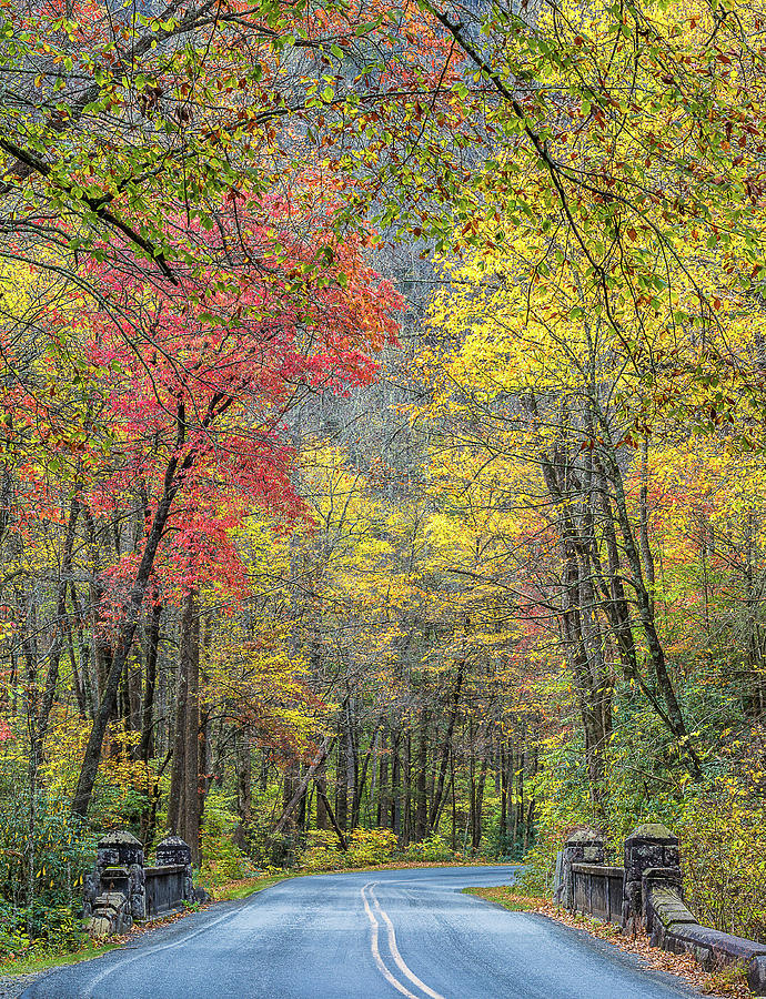 Autumn Drive Through Pisgah National Forest Photograph by Donnie Whitaker