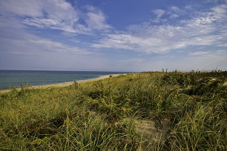 Autumn Dune View Photograph by Marisa Geraghty Photography