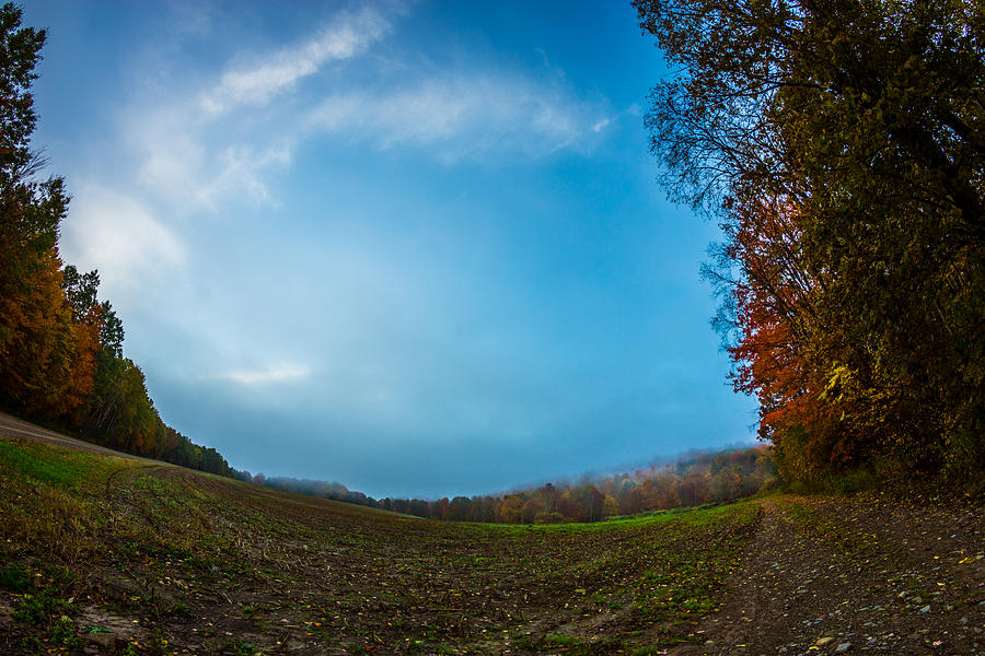 Autumn Empty Field Photograph by Chris Bordeleau
