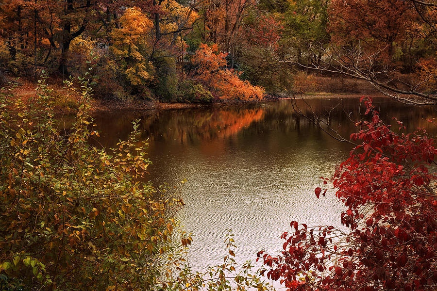 Autumn Ending Photograph by Jessica Jenney