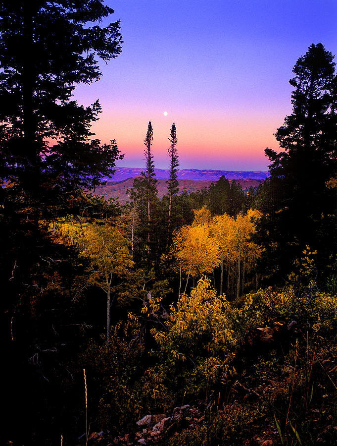 Autumn Evening Photograph by Grant Sorenson
