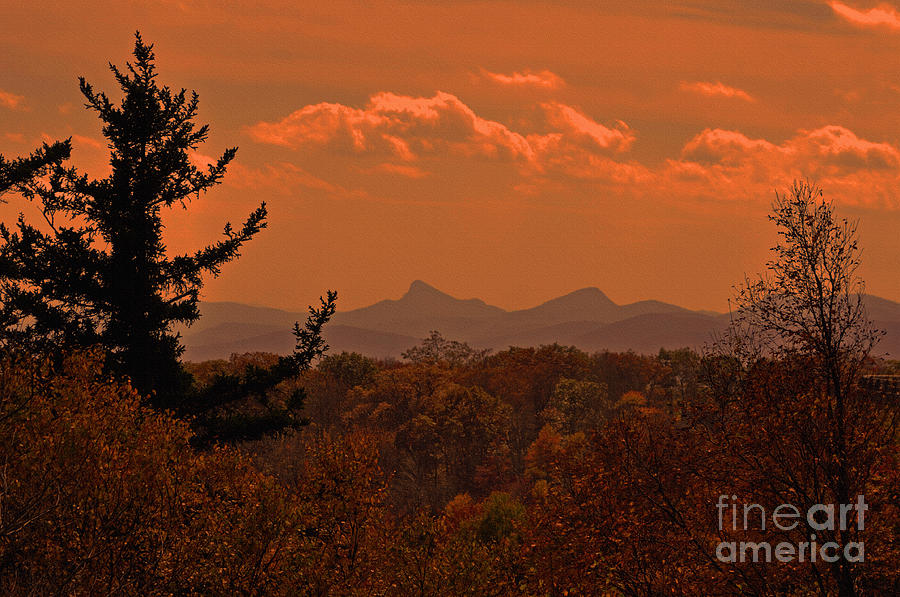Autumn Evening on The Blue Ridge Parkway Photograph by Lydia Holly