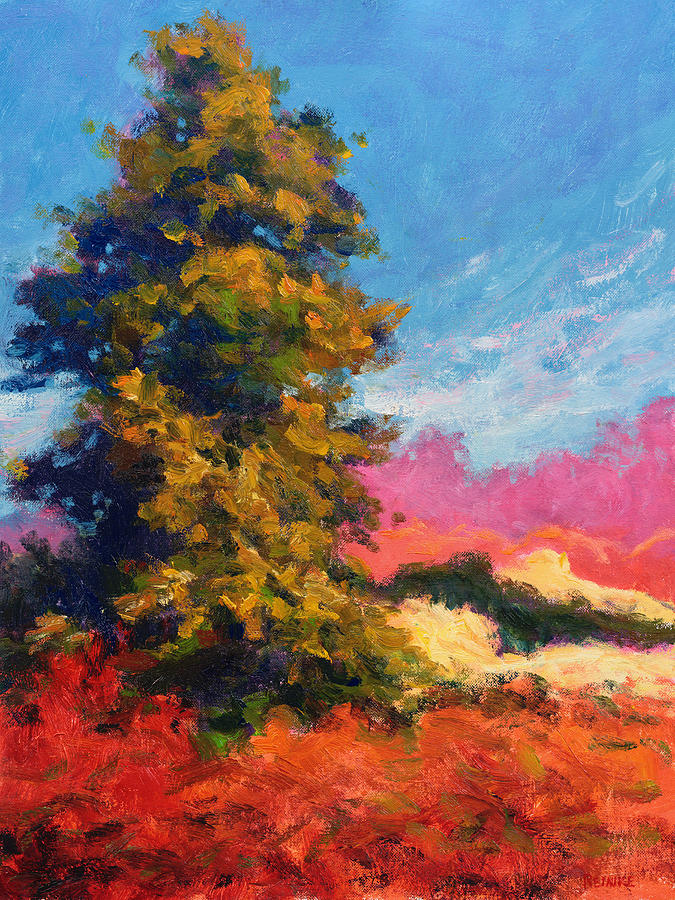 Autumn Evergreen by Vernon Reinike Autumn Evergreen by Vernon Reinike