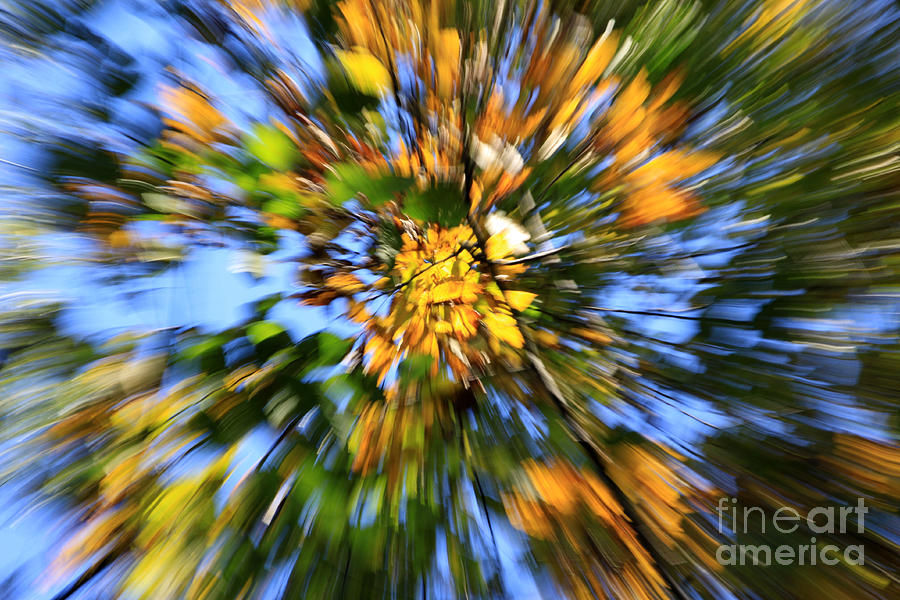 Autumn Explosion # 2 Photograph by Rick Rauzi