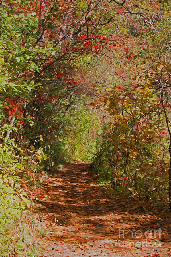 Autumn Fairy Walk Photograph by Barbara McMahon