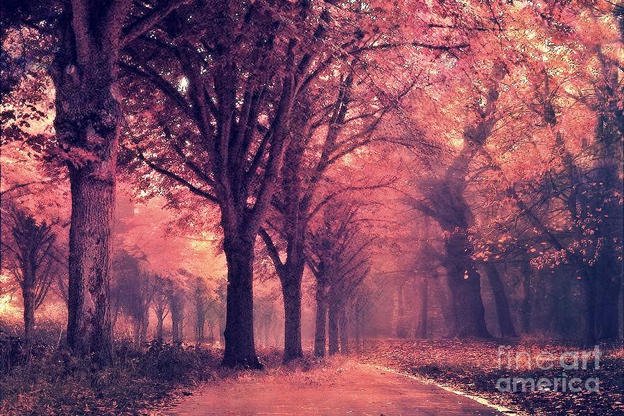 Autumn Fall Carolina Woodlands Trees - Surreal Fairy Tale Nature Trees Autumn Fall Landscape Digital Art by Kathy Fornal