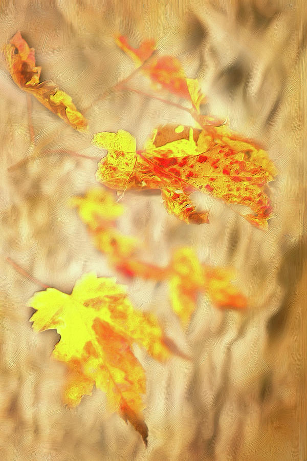 Autumn Fall Color Maple Leaves in the Blue Ridge AP Painting by Dan Carmichael
