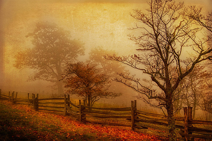 Autumn Fall Colors 3 Photograph by Dan Carmichael