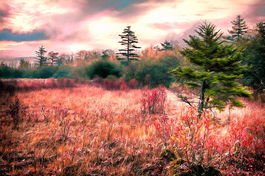 Autumn Fall Colors 5 AP Digital Art by Dan Carmichael