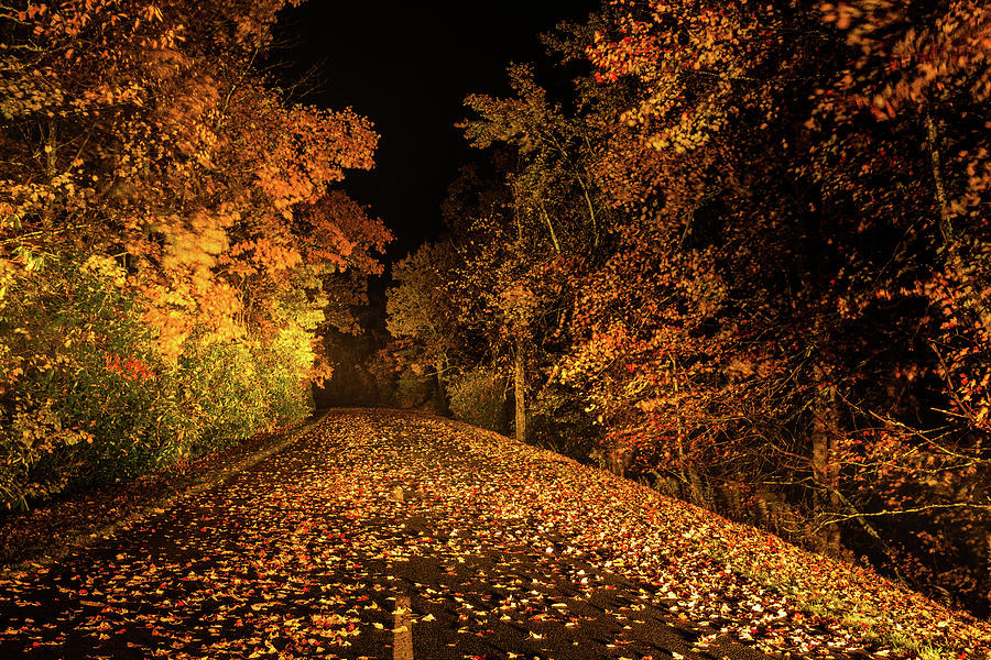Autumn Fall Colors - A Blue Ridge Road Less Traveled Photograph by Dan Carmichael