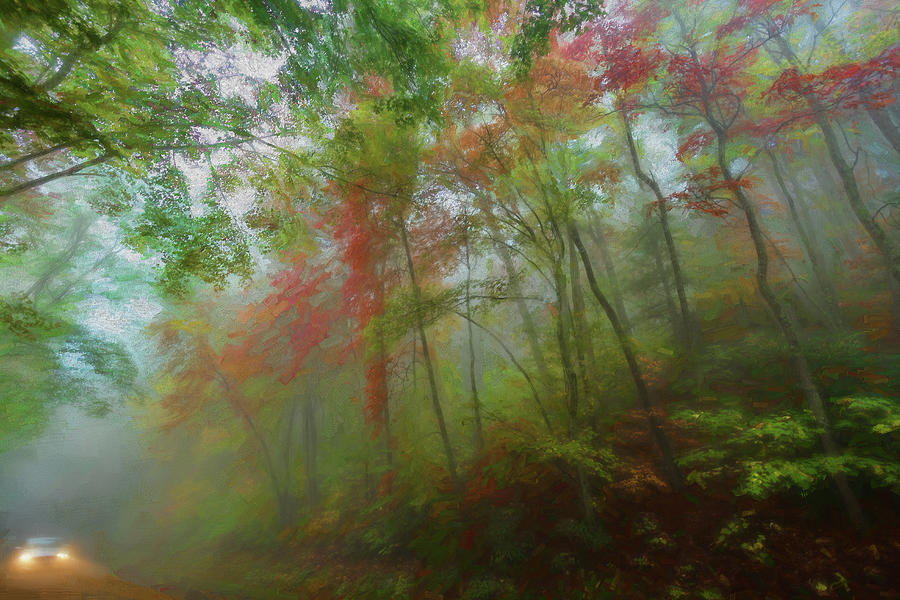 Autumn Fall Colors - A Foggy Drive Through Paradise AP Digital Art by Dan Carmichael