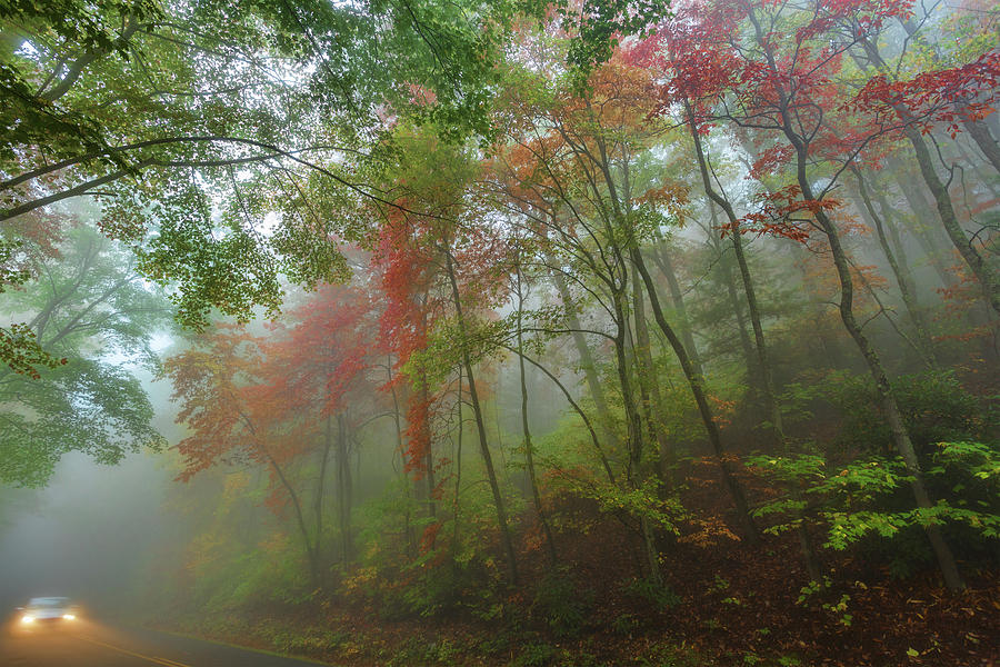 Autumn Fall Colors - A Foggy Drive Through Paradise Photograph by Dan Carmichael