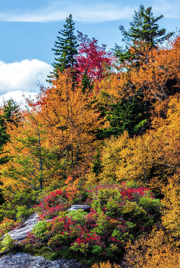 Autumn Fall Colors - Autumn Viaduct Photograph by Dan Carmichael