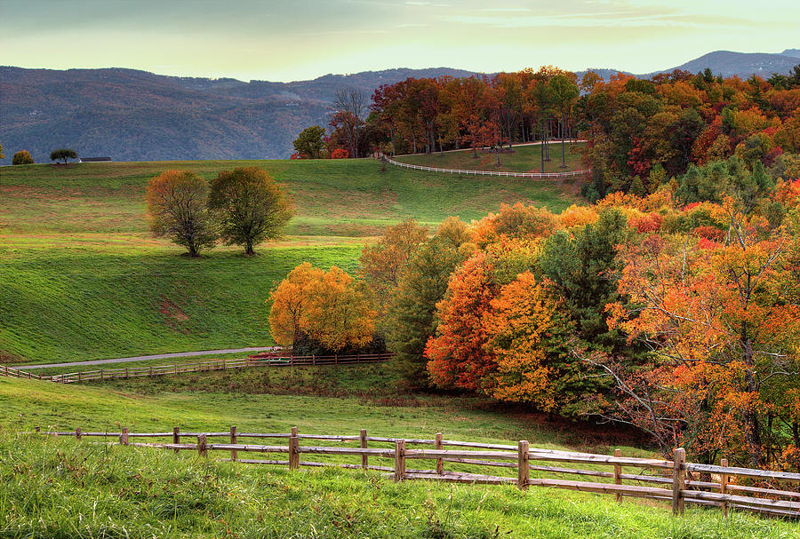 Autumn Fall Colors Blue Ridge Brilliance Photograph by Dan Carmichael