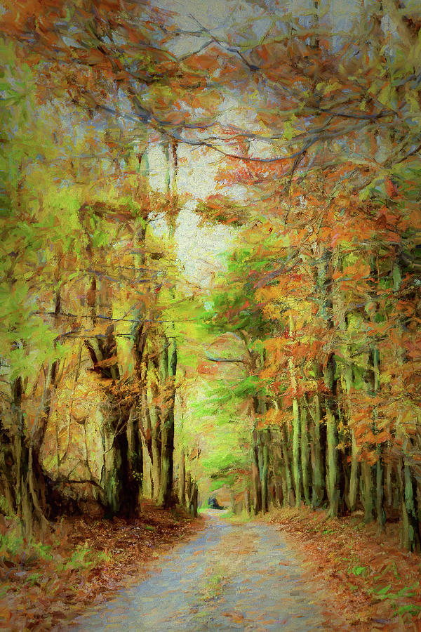 Autumn Fall Colors - Blue Ridge Country Road AP Painting by Dan Carmichael