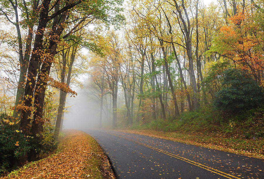 Autumn Fall Colors - Blue Ridge Wonderland Photograph by Dan Carmichael