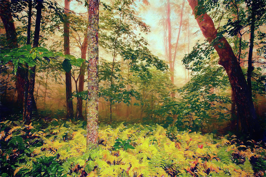 Autumn Fall Colors - Brilliant Ferns in the Blue Ridge AP Digital Art by Dan Carmichael