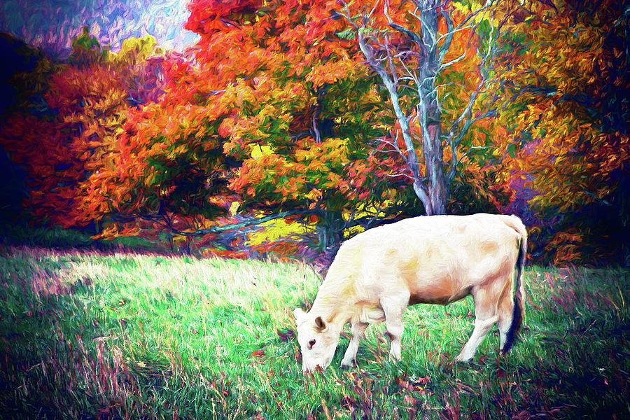 Autumn Fall Colors - Cow Grazing in Colorful Pasture AP Digital Art by Dan Carmichael