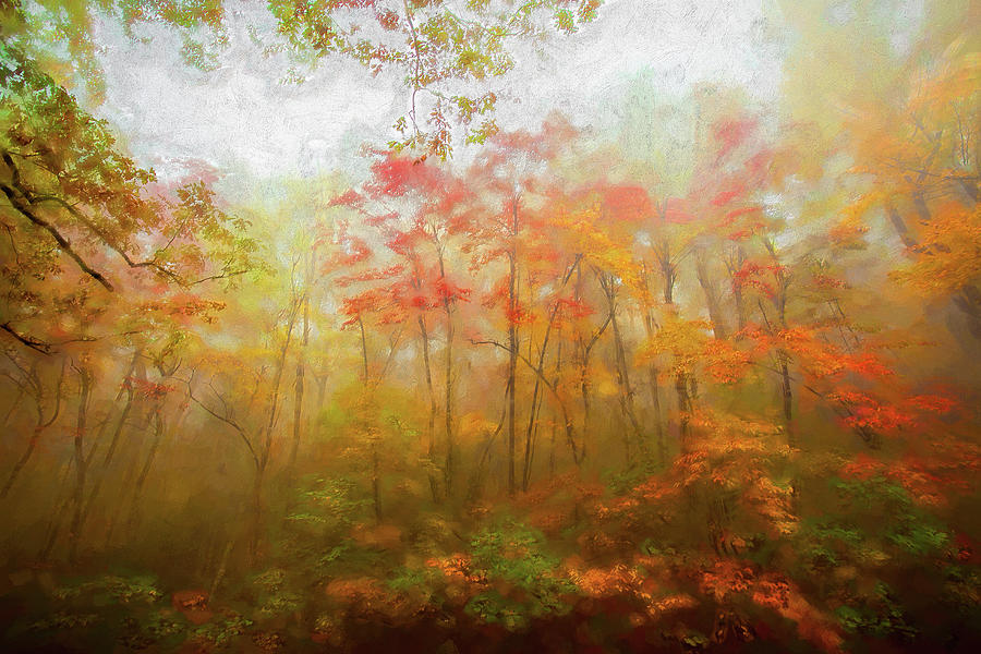 Autumn Fall Colors - Dazzling Color in the Blue Ridge AP Painting by Dan Carmichael