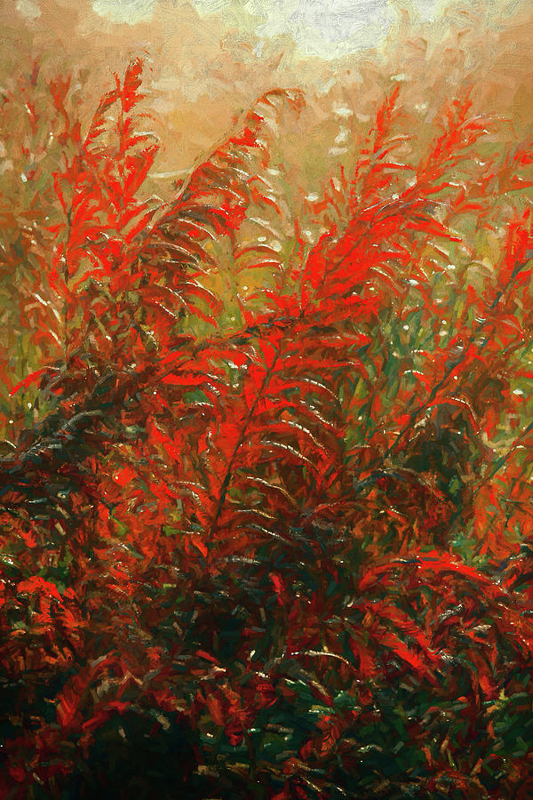Autumn Fall Colors - Fall Ferns AP Painting by Dan Carmichael