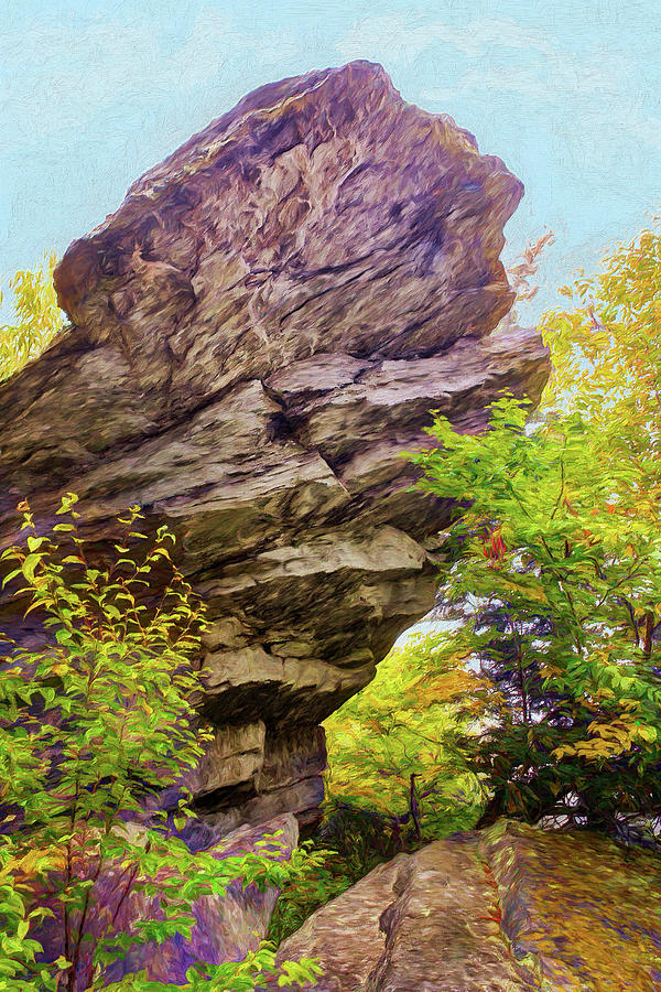 Autumn Fall Colors - Hiding Under a Rock AP Painting by Dan Carmichael