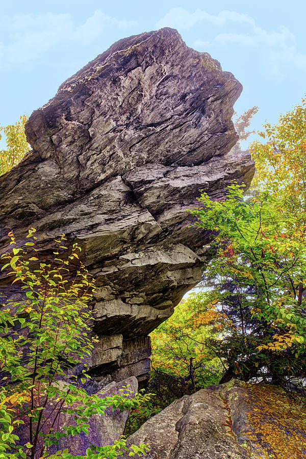 Autumn Fall Colors - Hiding Under a Rock Photograph by Dan Carmichael