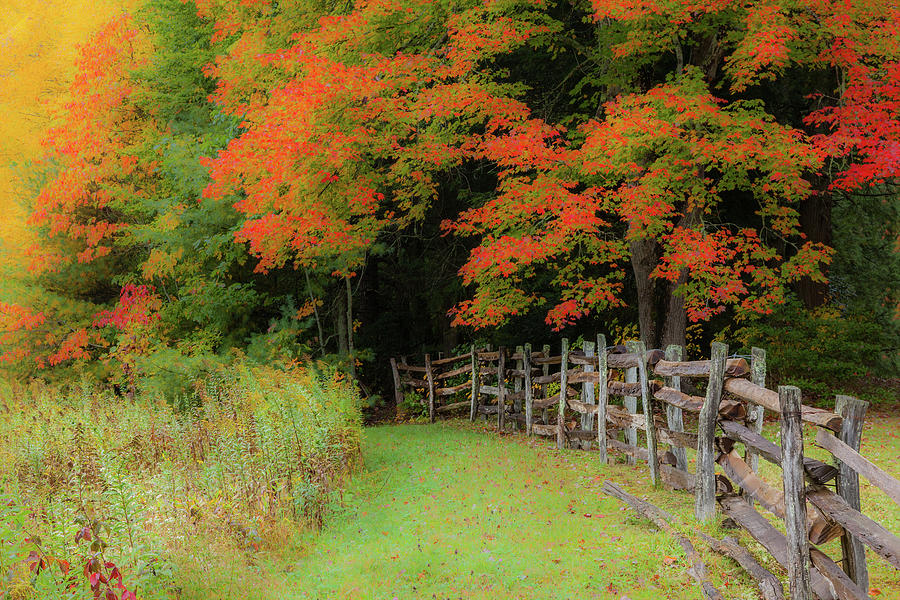 Autumn Fall Colors - Into the Cave Photograph by Dan Carmichael