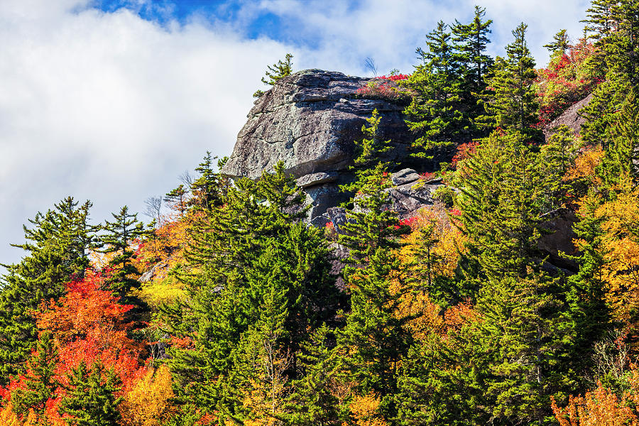 Autumn Fall Colors - Mountains of Color Photograph by Dan Carmichael
