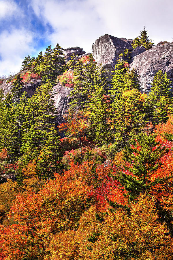 Autumn Fall Colors - Pretty Peak Photograph by Dan Carmichael