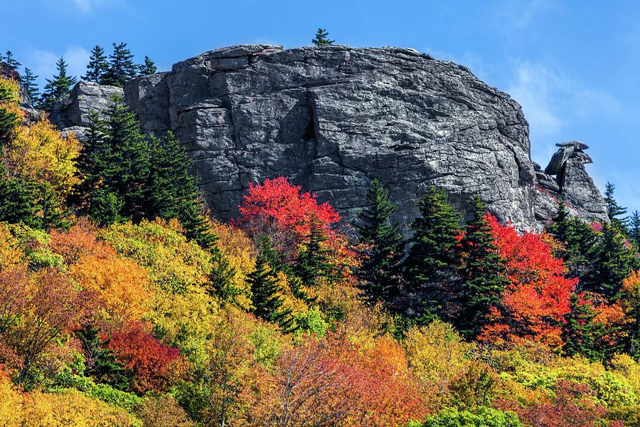Mountain Photograph - Autumn Fall Colors - Rocks and Colorful Trees by Dan Carmichael