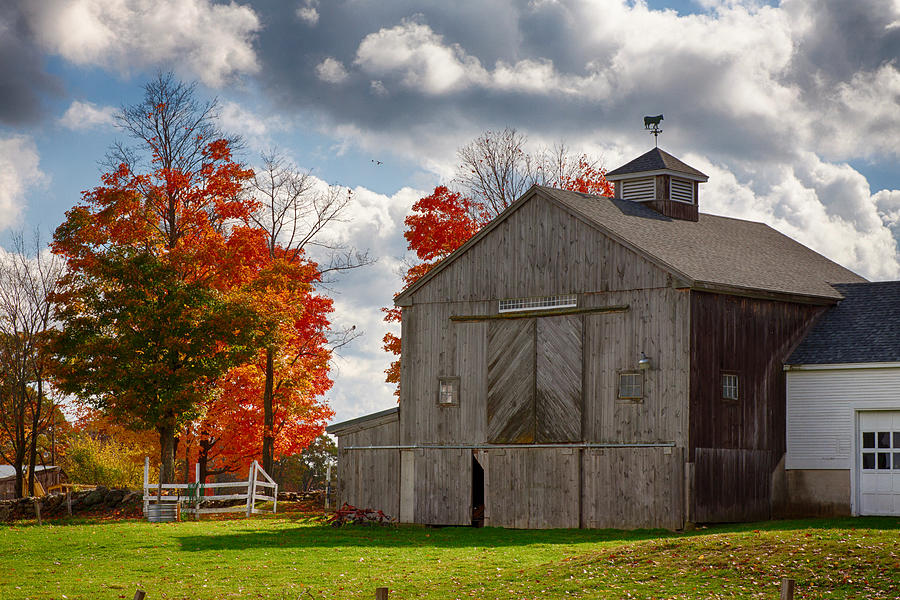 Fall Photograph - Autumn fall colors turn next to grey barn by Jeff Folger