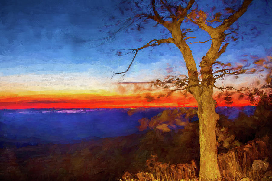 Autumn Fall Colors - Windy Tree at Sunrise AP Digital Art by Dan Carmichael