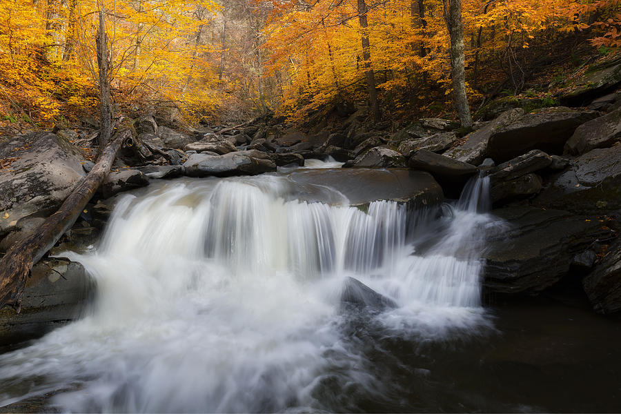 Waterfall Photograph - Autumn Falling by Bill Wakeley