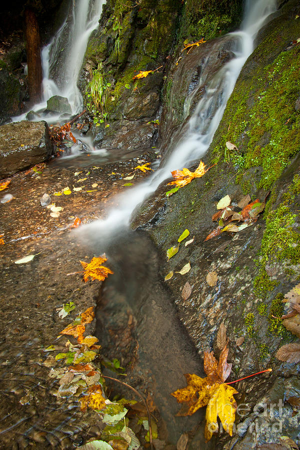Autumn Falls Photograph by Idaho Scenic Images Linda Lantzy