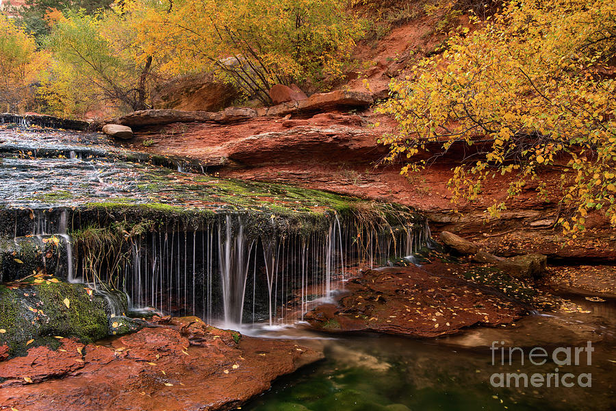 Zion National Park Photograph - Autumn Falls in Zion by Jamie Pham