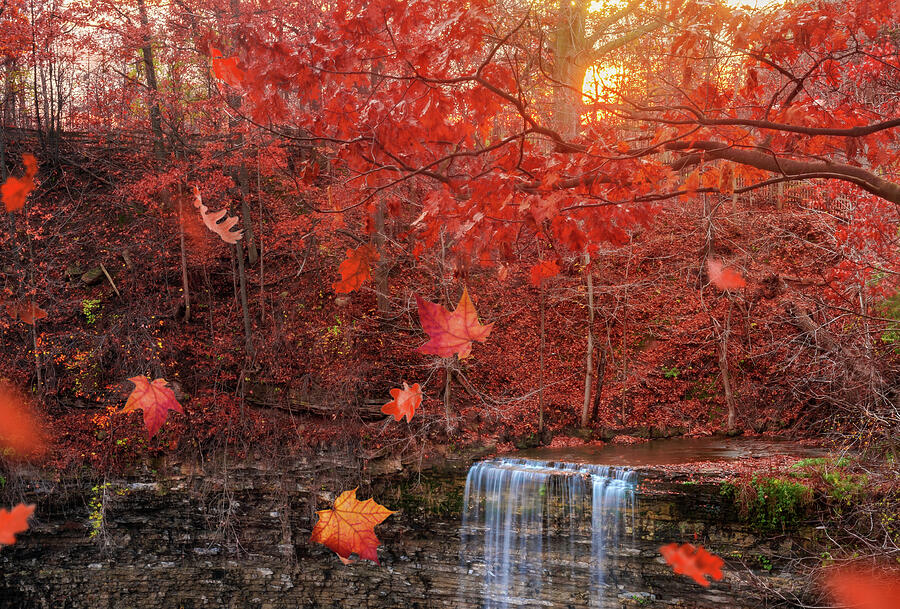 Autumn Falls Photograph by Tracy Munson