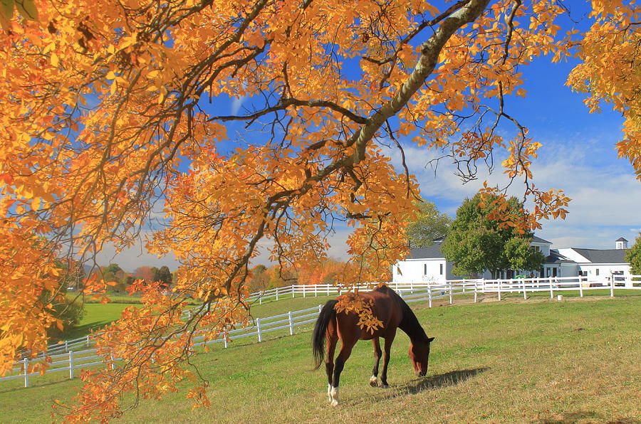Autumn Farm Photograph by John Burk
